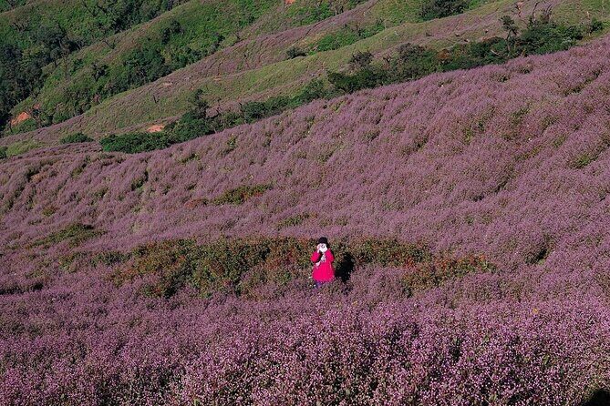 Ta Chi Nhu Cloud Hunt Journey from Hanoi - FAQ