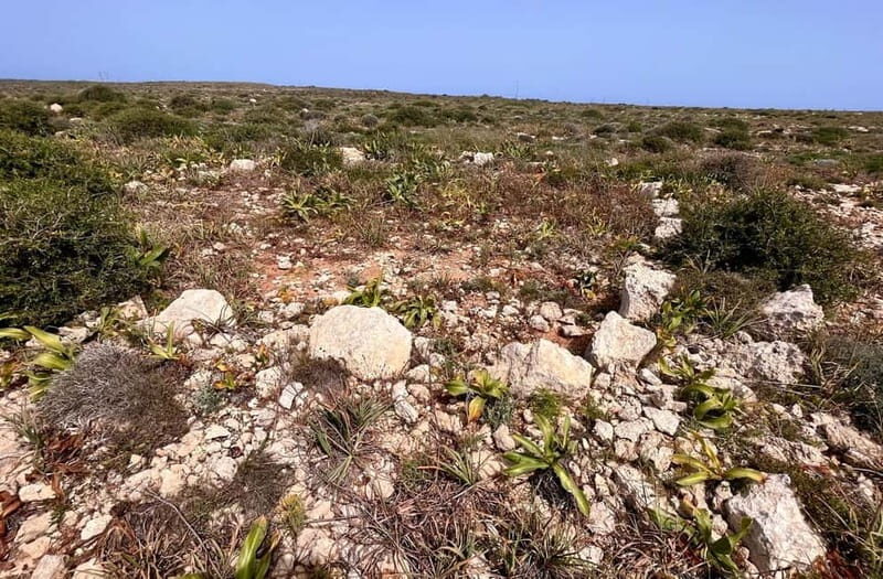 Tabaccara Promontory Tour - Practical Details: What You Need to Know