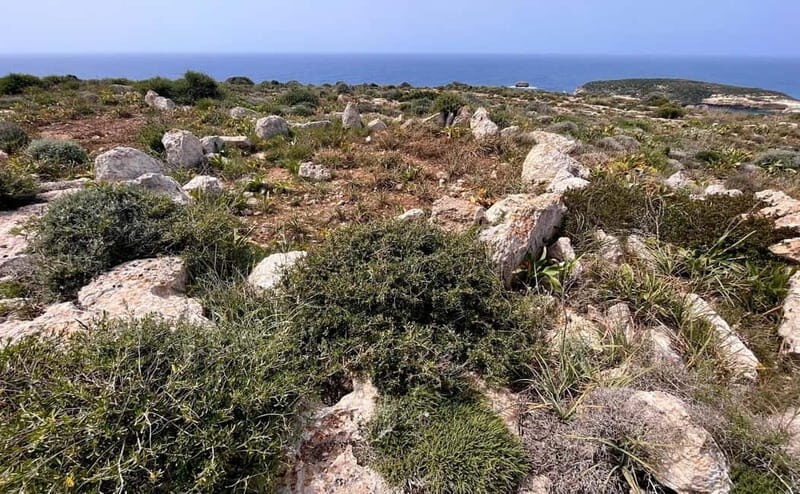 Tabaccara Promontory Tour - Who Will Love This Experience?