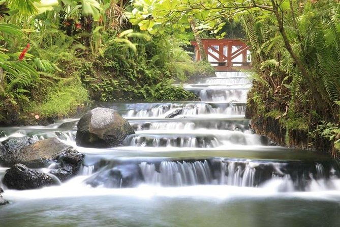 tabacon-hot-springs-day-pass