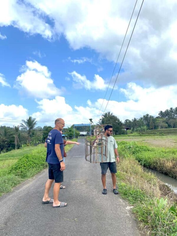 Tabanan: Belimbing Rice Terrace Trekking & Local Life Tour - The Itinerary in Detail