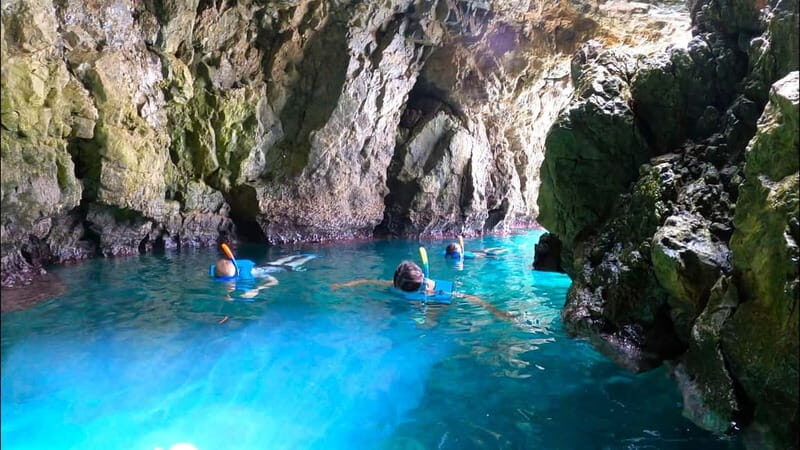 Tabarca Island: Guided Snorkel Excursion - A Closer Look at the Snorkeling Experience