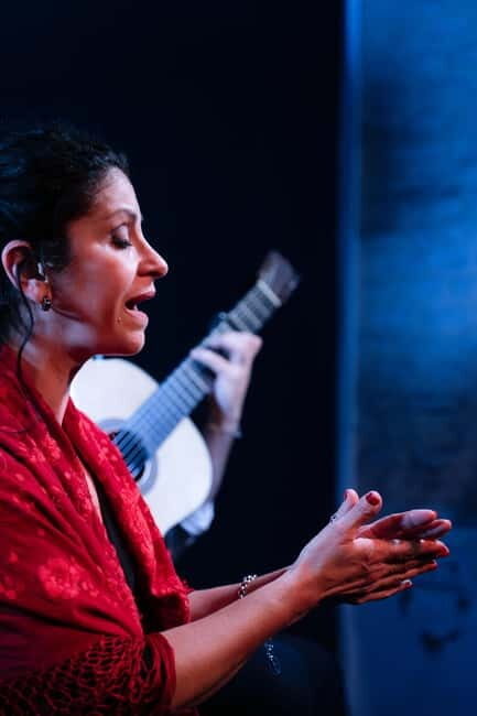Tablao Flamenco La Exclusiva in Seville and Tinto de Verano - Discovering Flamenco at La Exclusiva