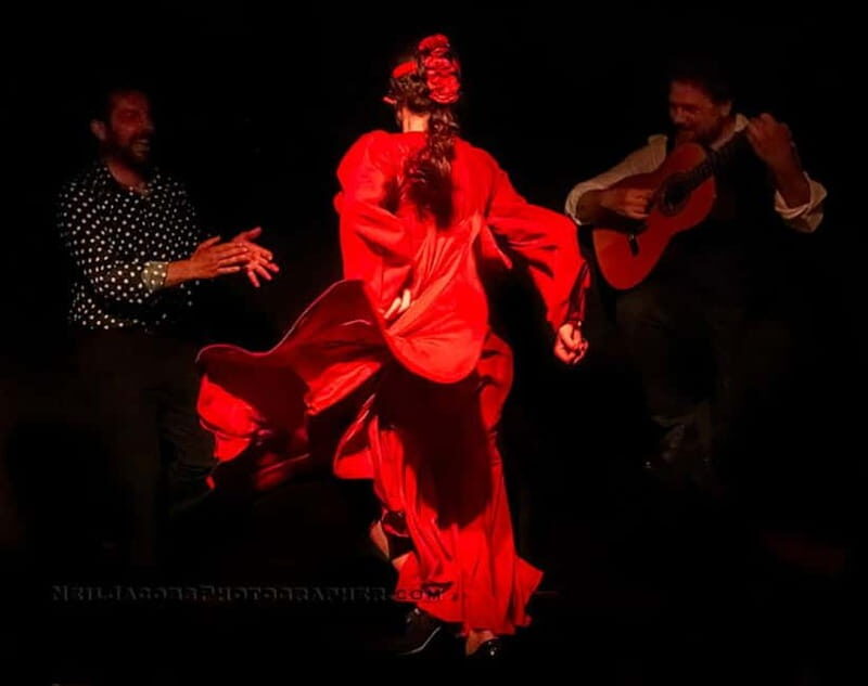 Tablao Flamenco La Exclusiva in Seville and Tinto de Verano - The Performers and Artistic Quality