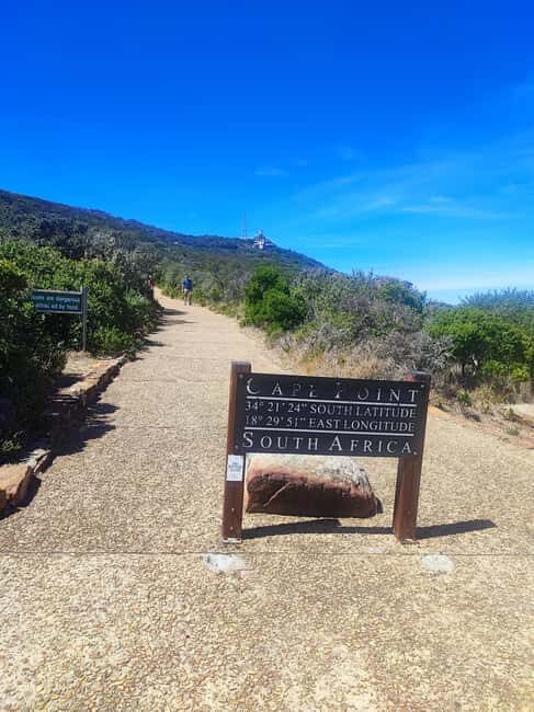 Table Mountain and Cape of Good Hope Day Tour - A Day in the Life: What to Expect from the Tour