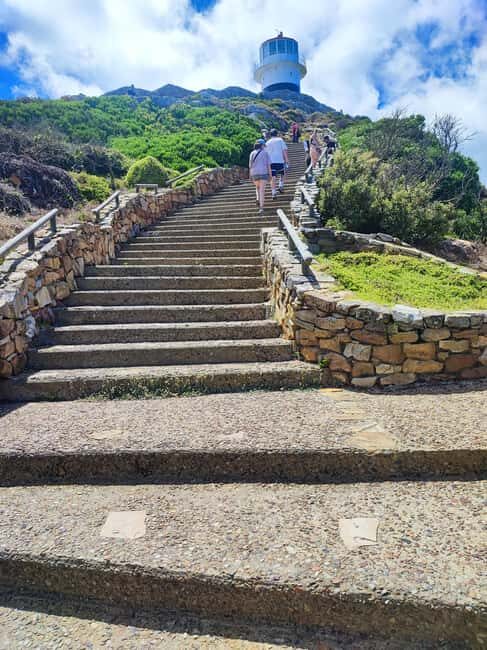 Table Mountain and Cape of Good Hope Day Tour - FAQ