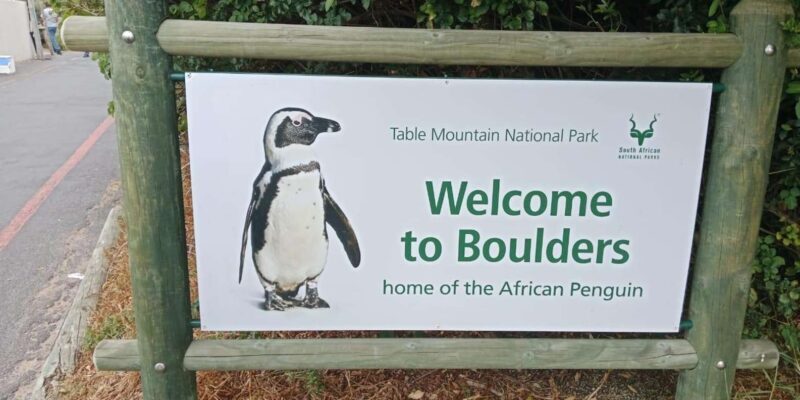 Table Mountain and Cape of Good Hope: Private Full Day Tour - Practical Details: Transportation, Timing, and Comfort  