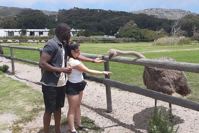 Table Mountain and Cape of Goodhope - The Sum Up
