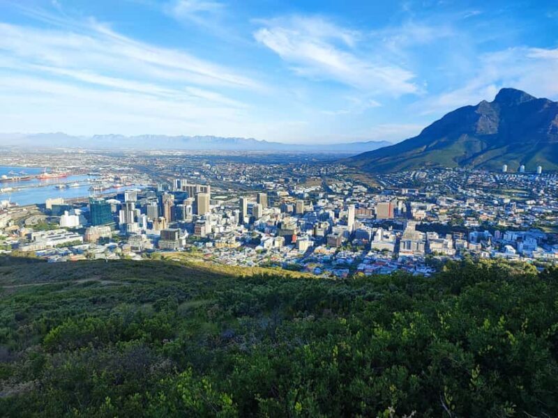 Table Mountain and Constantia Wine Tasting Private Tour - Exploring the Details of the Tour