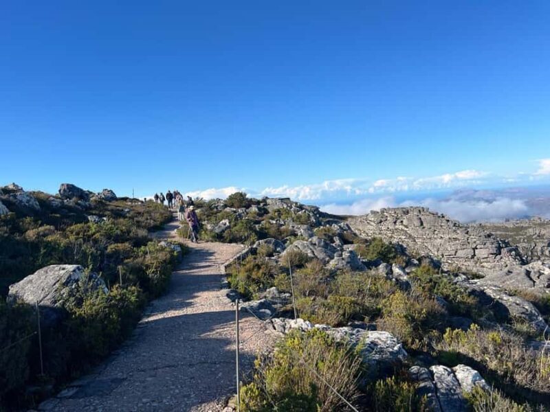Table Mountain and Constantia Wine Tasting Private Tour - Who Would Love This Experience?
