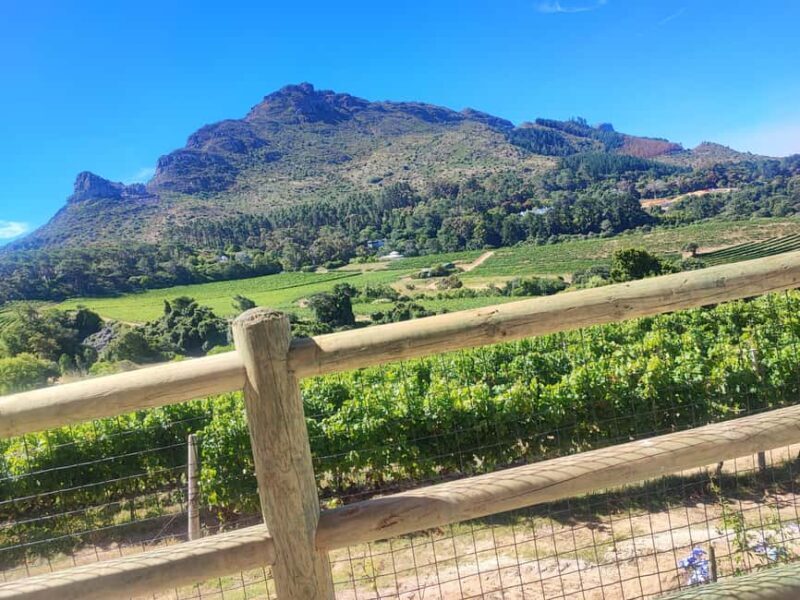 Table Mountain and Constantia Wine Tasting Private Tour - FAQ