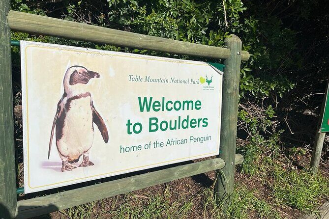 Table Mountain and Penguins Half Day Shared Group Tour - In-Depth Review of the Tour Experience