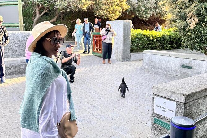 Table Mountain Bo Kaap Penguins and Cape Point Small Group Tour - Final Thoughts