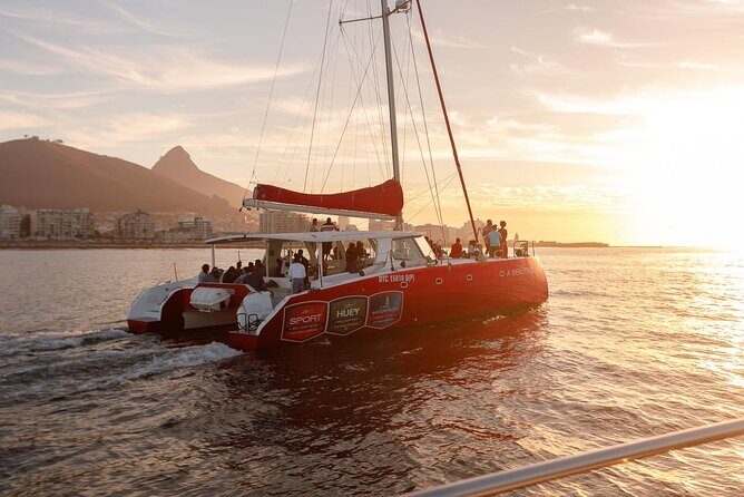 Table Mountain , Boulder Beach and Cape point Tour from Cape Town - Practicalities and Value