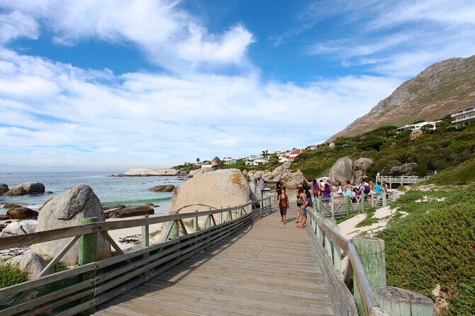 Table Mountain Boulder's Beach and Cape Point - An In-Depth Look at the Tour Experience