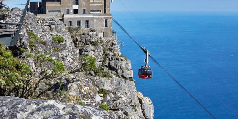 Table Mountain Boulder's Beach and Cape Point - The Sum Up: Who Will Love This Tour?