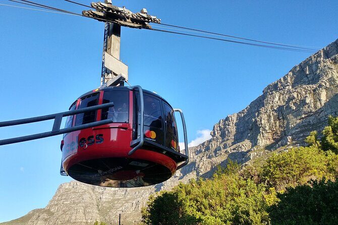 Table Mountain Boulder's Beach and Cape Point Tour - A Deep Dive into the Cape Town Day Tour  