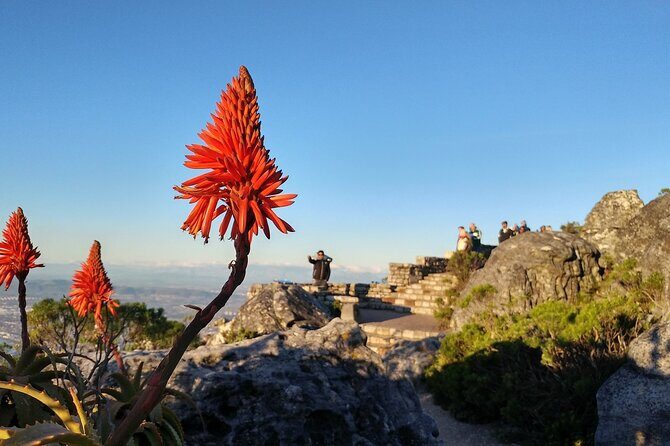 Table Mountain Boulder's Beach and Cape Point Tour - FAQs  
