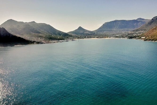Table Mountain, Boulders Penguins & Cape point Private Day Tour - Final Thoughts