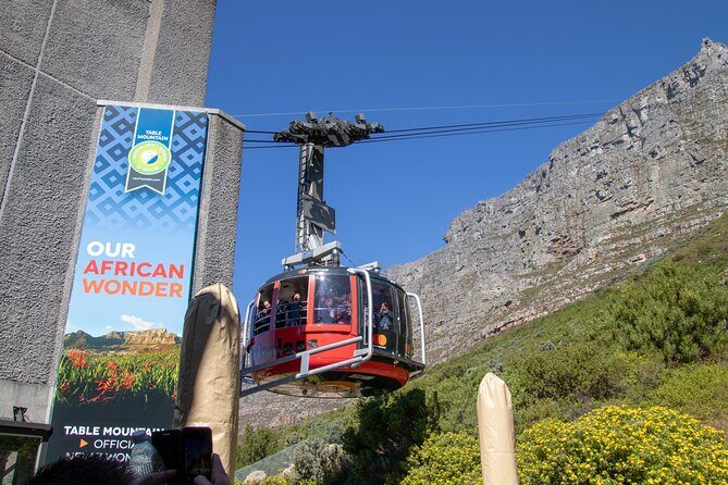 Table Mountain, Boulder's Penguins & Cape Point Private Tour from Cape Town - Key Points