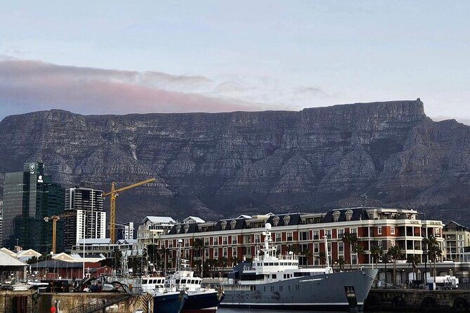 Table Mountain Cable Way with Pre-Booked Tickets, half day tour - Who Will Enjoy This Tour?