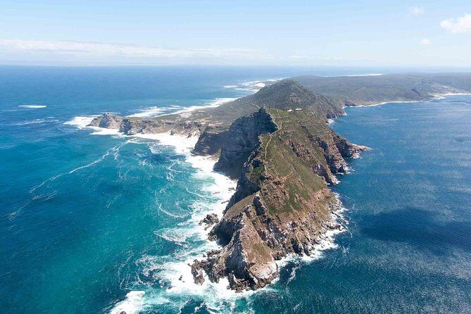 Table Mountain, Cape of Good Hope & Penguins - Penguins at Boulders Beach