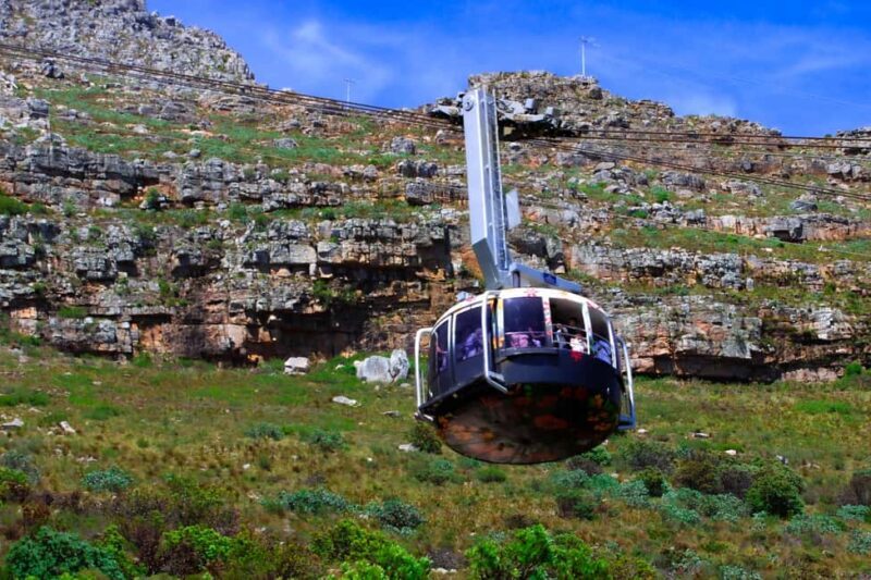 Table Mountain, Cape Point, and Penguins Group Tour - Key Points