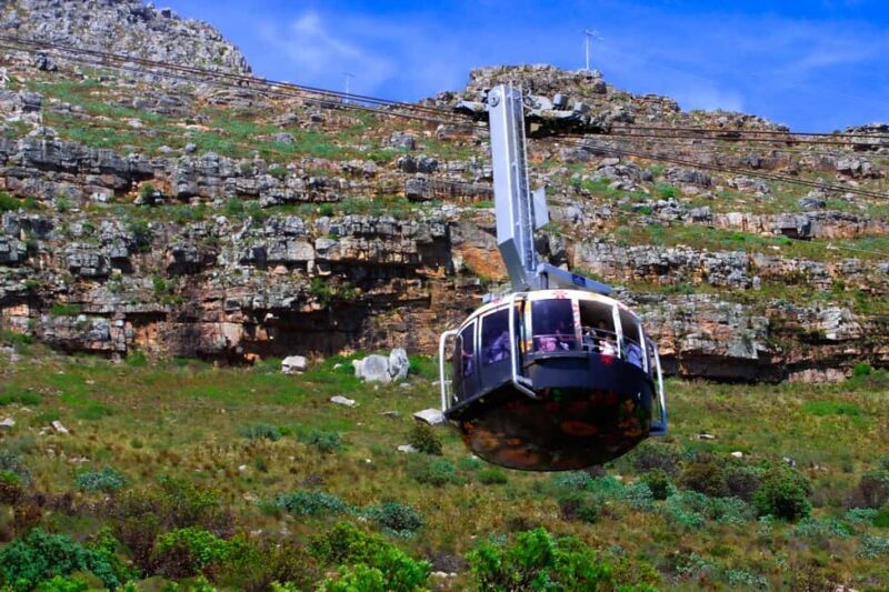 Table Mountain, Cape Point, and Penguins Group Tour - Detailed Breakdown of the Tour Experience