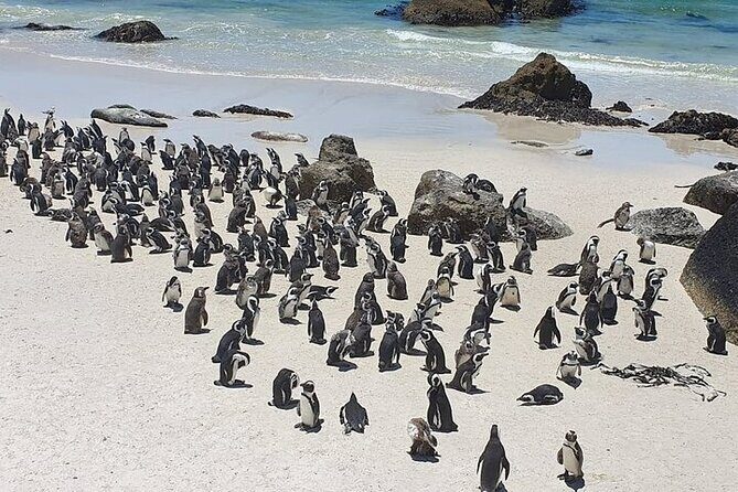 Table Mountain, Cape Point & Penguin Beach ENTRANCE INCLUDED - Frequently Asked Questions