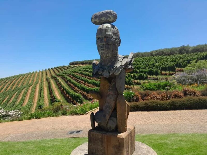 Table Mountain, Cape Point, Penguin Groot Constantia P Tour - Who This Tour Is Best For