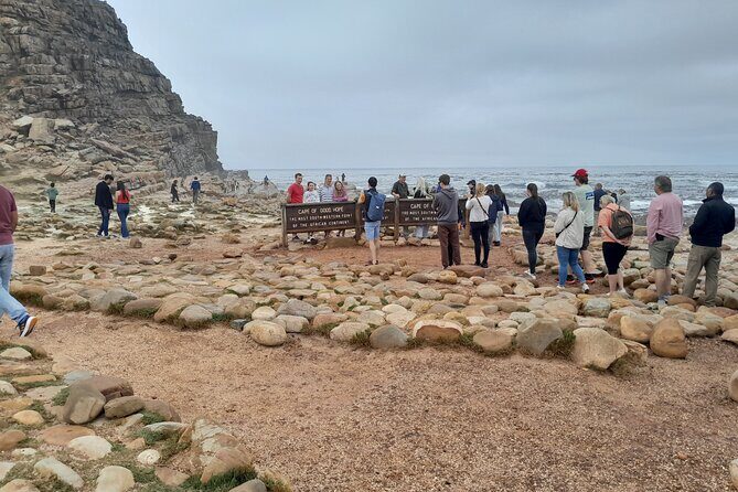 Table Mountain Cape Point Penguin Groot Constantia Private Tour - Key Points