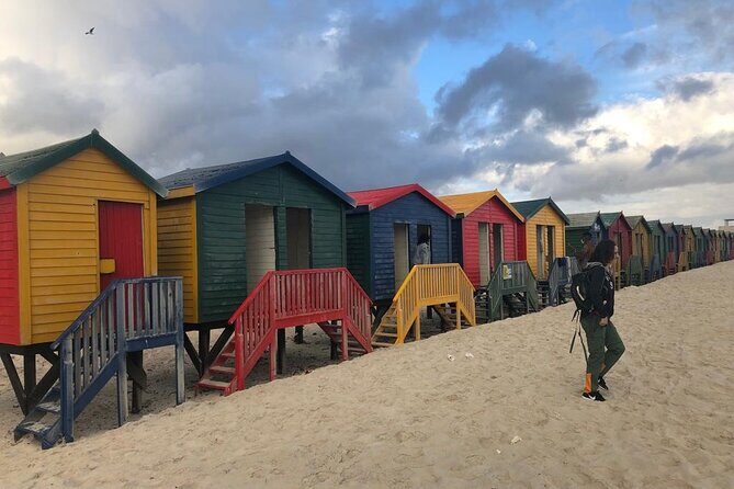 Table Mountain, Cape Point & Penguins Private ,From Cape Town - Authentic Experiences and Guest Insights