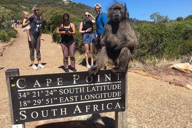 Table Mountain, Cape Point & Penguins Private ,From Cape Town - The Sum Up
