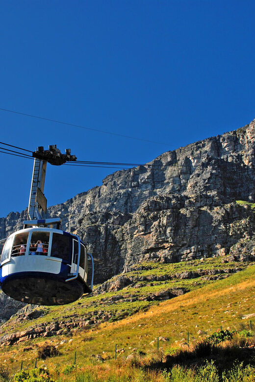 Table Mountain & Cape Town City Half Day Guided Tour - A Closer Look at the Itinerary