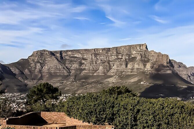 Table Mountain, Chapmans Peak Drive, Cape Point & Penguins - A Closer Look at the Itinerary and Experiences
