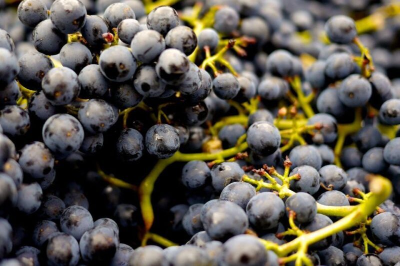 Table Mountain & Constantia Wine Estate Private Combo Tour - Key Points
