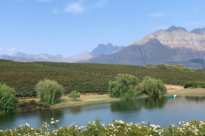 Table Mountain & Constantia Wine Tasting Full Day Tour. - Final Thoughts