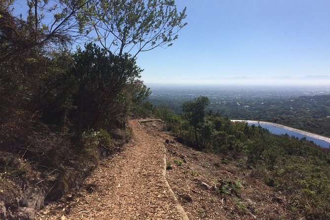 Table Mountain Cycling Experience - Authentic Feedback from Participants