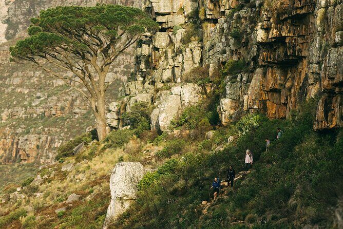Table Mountain Guided Hike-epic adventure for all fitness levels - Who Will Love This Tour?