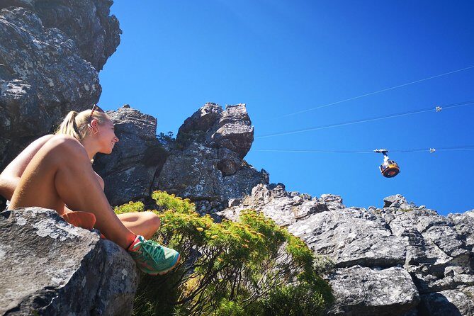 Table Mountain Half Day Hike: India Venster Trail - Authentic Insights and Reviewer Perspectives