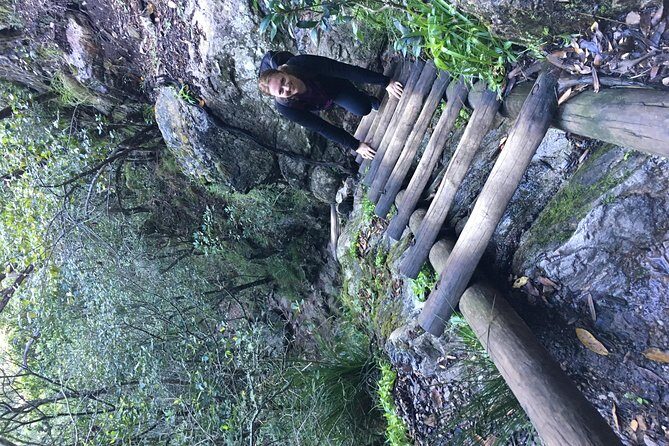 Table Mountain Hike (All routes) - Private Tour - Who Should Book This Tour?