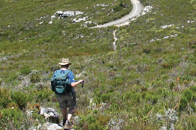 Table Mountain Hike from Cape Town - The Value of the Experience