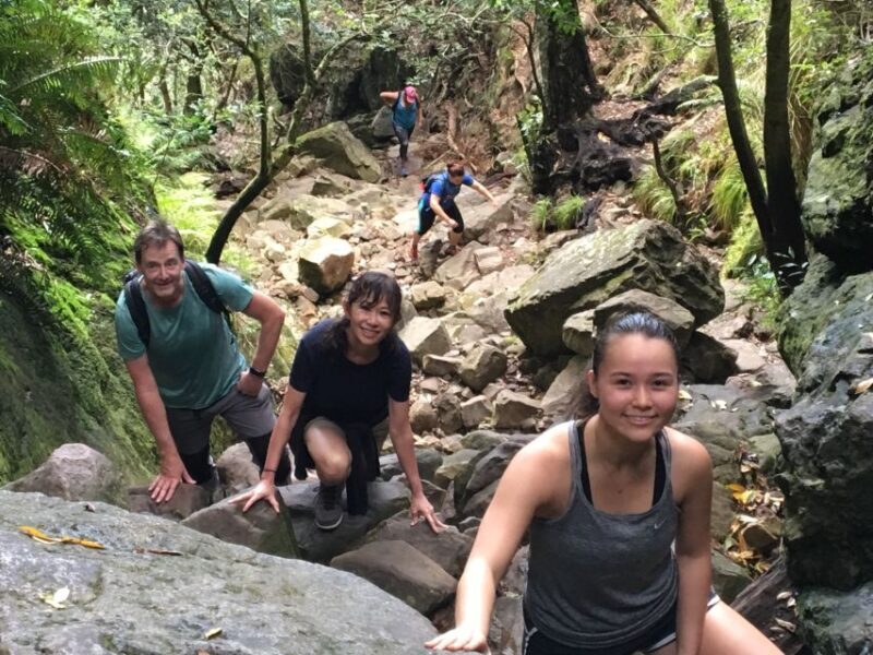 Table Mountain Hike with Local Tour Guide - An Overview of the Experience