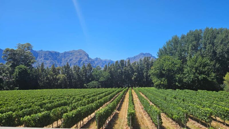 Table Mountain, Historic City & Winelands Private Day Tour. - An In-Depth Look at the Tour Experience