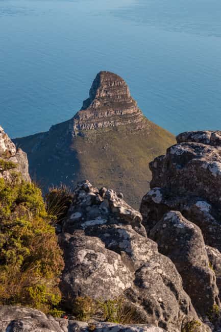 Table Mountain Immersive Guided Hike with an Eco specialist - Why Choose This Tour?