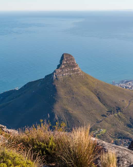 Table Mountain Immersive Guided Hike with an Eco specialist - Practical Details: What Travelers Need to Know