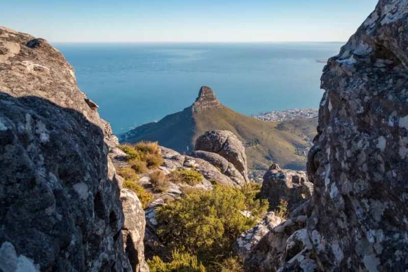 Table Mountain Immersive Guided Hike with an Eco specialist - What Reviewers Say