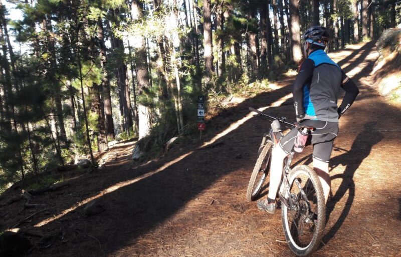 Table Mountain: Mountain Biking to Constantia Wine Estate - The Bike and Equipment
