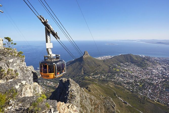 Table Mountain, Penguins, Cape of good hope and Stellenbosch tour - A Deep Dive into the Itinerary