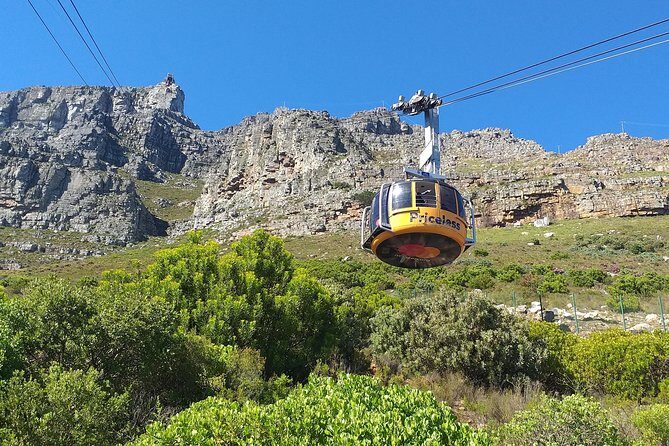Table Mountain, Penguins, Cape of good hope and Stellenbosch tour - FAQs